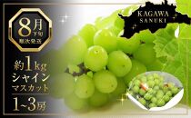 先行予約 シャインマスカット 1kg(1～3房)【大粒 種なし ぶどう ブドウ 国産 旬の採れたて さぬき市産 数量限定】