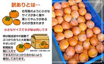 訳あり 富有柿 約3kg(約8個～15個)【柿 かき カキ さぬき市産 数量限定】