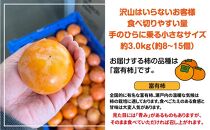 訳あり 富有柿 約3kg(約8個～15個)【柿 かき カキ さぬき市産 数量限定】