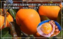 訳あり 富有柿 約3kg(約8個～15個)【柿 かき カキ さぬき市産 数量限定】