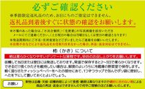 訳あり 富有柿 約3kg(約8個～15個)【柿 かき カキ さぬき市産 数量限定】