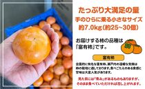 訳あり 富有柿 約7kg (約25個～30個) 柿 かき 果物 フルーツ