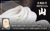 冷凍 讃岐うどん ダシ醤油＆釜あげ用 10人前【保存料・食品添加物不使用 だし醤油 釜揚げ うどん さぬき 人気店】