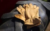 LAMP GROVES -UTILITY GLOVE STANDARD-(カラー：キャメル／サイズ：L)【革手袋 レザー グローブ 鹿革 メンズ レディース Lamp gloves ランプグローブス スタンダード ドライビンググローブ バイカー ファッション 手袋 香川県 さぬき市】