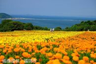 福岡県福岡市 日本旅行 地域限定旅行クーポン15,000円分