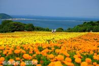 福岡県福岡市 日本旅行 地域限定旅行クーポン90,000円分