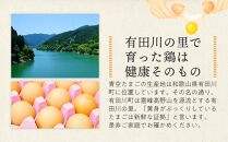 定期便 有田の青空たまご ササキのたまご Mサイズ 60個入 【3か月定期便】