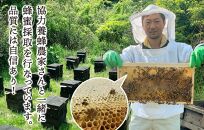 はちみつ 有田のみかん蜂蜜 210g 和歌山県産 産地直送 【みかんの会】