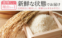【令和6年産】 福岡県産 夢つくし 10kg セット ( 5kg×2袋 )【米 お米 精米 ブランド米 白米 ご飯 ごはん 夢つくし ライス 10ｷﾛ 10kg 備蓄米 便利 福岡県産 旬 おにぎり お弁当 食品 ふるさと納税 筑前町 福岡県 送料無料 DT001】