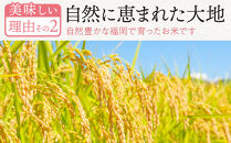 【令和6年産】 福岡県産 夢つくし 10kg セット ( 5kg×2袋 )【米 お米 精米 ブランド米 白米 ご飯 ごはん 夢つくし ライス 10ｷﾛ 10kg 備蓄米 便利 福岡県産 旬 おにぎり お弁当 食品 ふるさと納税 筑前町 福岡県 送料無料 DT001】