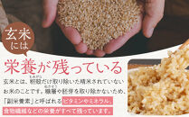 夢つくし玄米パックご飯24個セット【米 お米 ライス パックご飯 パック 夢つくし ブランド米 玄米 玄米パック 非常食 保存食 備蓄米 食物繊維 ビタミン豊富 限定米 福岡県産 筑前町 ふるさと納税 DT002】 