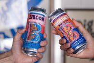 ＜6ヶ月定期便＞【Bighand Bros. Beer】クラフトビール 500ml缶 4本セット x 全6回（ビッグハンドブロスビア）