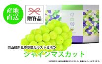 ぶどう&nbsp;2025年&nbsp;先行予約&nbsp;カルスト台地で育ったシャインマスカット（１房）【ギフト用】&nbsp;|&nbsp;フルーツ&nbsp;果物&nbsp;くだもの&nbsp;葡萄&nbsp;ブドウ&nbsp;ぶどう&nbsp;シャインマスカット&nbsp;マスカット&nbsp;ギフト&nbsp;贈答用&nbsp;プレゼント&nbsp;岡山&nbsp;岡山県産&nbsp;国産&nbsp;フルーツ&nbsp;果物&nbsp;くだもの&nbsp;シャインマスカット&nbsp;マスカット