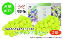ぶどう&nbsp;2025年&nbsp;先行予約&nbsp;カルスト台地で育ったシャインマスカット（２房）【ギフト用】|&nbsp;フルーツ&nbsp;果物&nbsp;くだもの&nbsp;葡萄&nbsp;ブドウ&nbsp;ぶどう&nbsp;シャインマスカット&nbsp;マスカット&nbsp;ギフト&nbsp;贈答用&nbsp;プレゼント&nbsp;岡山&nbsp;岡山県産&nbsp;国産&nbsp;フルーツ&nbsp;果物&nbsp;くだもの&nbsp;シャインマスカット&nbsp;マスカット