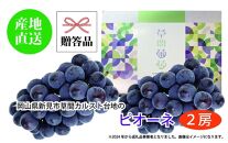 ぶどう&nbsp;2025年&nbsp;先行予約&nbsp;カルスト台地で育ったピオーネ（２房）【ギフト用】贈答&nbsp;ブドウ&nbsp;葡萄&nbsp;&nbsp;岡山市産&nbsp;国産&nbsp;フルーツ&nbsp;果物&nbsp;ギフト