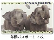 周南市徳山動物園年間パスポート（3枚）