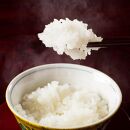 【令和7年産&nbsp;】新潟県産こしひかり「秋の日」（白米10kg）【5kg×2袋】新潟県の美味しいお米。