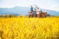 【令和7年産&nbsp;】新潟県産こしひかり「秋の日」（白米10kg）【5kg×2袋】新潟県の美味しいお米。