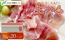 【美ら島あぐ～】生ハム（20パック×70g）