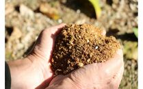 木なりはっさくみかん&nbsp;贈答用特選&nbsp;5kg箱入【WS7】