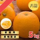 木なりはっさくみかんご家庭用&nbsp;5kg箱入【WS9】