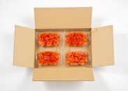 【小分け×合計1.1kg】博多の味本舗の辛子明太子(275g×4)セット【明太子&nbsp;明太&nbsp;めんたいこ&nbsp;辛子明太子&nbsp;小分け&nbsp;便利&nbsp;使いやすい&nbsp;卵&nbsp;海鮮&nbsp;魚介類&nbsp;博多名物&nbsp;魚介&nbsp;人気&nbsp;明太子&nbsp;おすすめ&nbsp;明太子&nbsp;福岡&nbsp;冷凍&nbsp;おかず&nbsp;明太子&nbsp;めんたい&nbsp;博多の味本舗&nbsp;筑前町&nbsp;ふるさと納税&nbsp;送料無料&nbsp;FP019】