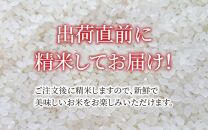 【先行予約】【令和6年産】【一等米】コシヒカリ 精米 10kg ／ 一等米 福井県産 ブランド米 ご飯 白米 お米 コメ 新鮮 新米 ※2024年10月中旬より順次発送