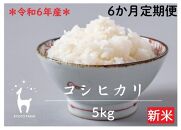 〈6か月定期便〉【京都ファーム】令和6年産 京都ファームのコシヒカリ ５kg