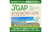 10月下旬配送／令和6年産【無洗米】はえぬき　10kg(5kg×2袋)農家直送『いいあん米』 AG　＜アグレスト＞