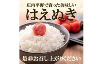 10月下旬配送／令和6年産【無洗米】はえぬき　10kg(5kg×2袋)農家直送『いいあん米』 AG　＜アグレスト＞