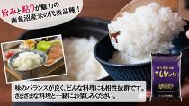 【令和6年産新米予約／令和6年11月上旬より順次発送】【F-12定期便】南魚沼産コシヒカリ4kg×12回