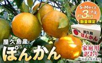 2025年 屋久島産 ぽんかん 家庭用 訳あり 約3kg 小玉(S～Mサイズ・少々キズあり)＜先行予約／数量限定＞