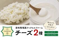 ゆふいん牛乳でつくった 特選 無添加 チーズ 2種類（クリームチーズ・フロマージュブラン）セット＜湯布院クックヒルファームからお届け＞