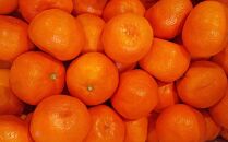 小原紅早生みかん&nbsp;約5kg（約30～60個）