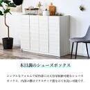 玄関収納&nbsp;多目的収納&nbsp;120&nbsp;ロータイプ&nbsp;ホワイト&nbsp;シューズボックス&nbsp;靴箱&nbsp;食器棚&nbsp;シンプル&nbsp;開き扉&nbsp;可動棚&nbsp;収納棚&nbsp;水洗い可能棚板&nbsp;耐水&nbsp;大川&nbsp;家具