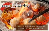 鹿児島県産黒毛和牛　上ホルモン小腸500ｇ×２袋