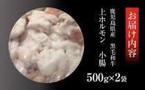 鹿児島県産黒毛和牛　上ホルモン小腸500ｇ×２袋