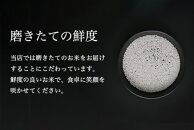 【新米予約】令和6年度産 南魚沼産コシヒカリ 2kg×2袋 塩沢地区100%