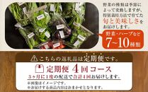 【定期便全4回】旬の採れたて 7～10種類お野菜詰め合わせセット TAGATAME タガタメ【野菜 特別栽培 栽培期間中農薬不使用 採れたて 香川県 さぬき市】