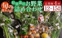 【定期便全4回】旬の採れたて 12～15種類お野菜詰め合わせセット TAGATAME タガタメ【野菜 特別栽培 大容量 栽培期間中農薬不使用 旬 採れたて 香川県 さぬき市】