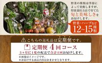 【定期便全4回】旬の採れたて 12～15種類お野菜詰め合わせセット TAGATAME タガタメ【野菜 特別栽培 大容量 栽培期間中農薬不使用 旬 採れたて 香川県 さぬき市】