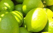 農家直送&nbsp;紀州&nbsp;レモン&nbsp;約2kg【MS94】