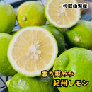 農家直送&nbsp;紀州&nbsp;レモン&nbsp;約2kg［MS94］