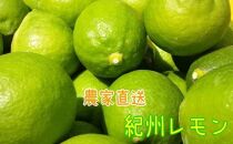 農家直送 紀州 レモン 約2kg【MS94】