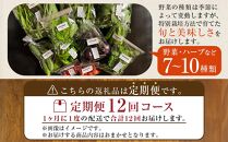 【定期便全12回】旬の採れたて 7～10種類お野菜詰め合わせセット(1～2名様)【野菜 特別栽培 1年間 栽培期間中農薬不使用 旬 採れたて 香川県 さぬき市】