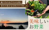 【定期便全12回】旬の採れたて 12～15種類お野菜詰め合わせセット(3～4名様)【野菜 特別栽培 1年間 栽培期間中農薬不使用 旬 採れたて 香川県 さぬき市】