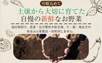 【定期便全12回】旬の採れたて 12～15種類お野菜詰め合わせセット(3～4名様)【野菜 特別栽培 1年間 栽培期間中農薬不使用 旬 採れたて 香川県 さぬき市】