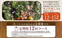 【定期便全12回】旬の採れたて 12～15種類お野菜詰め合わせセット(3～4名様)【野菜 特別栽培 1年間 栽培期間中農薬不使用 旬 採れたて 香川県 さぬき市】