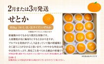 【定期便全3回】さぬき市冬のフルーツ厳選定期便(小原紅早生みかん しらぬひ せとか)【旬 人気 果物 くだもの 柑橘 香川県 さぬき市】