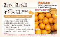 【定期便全3回】訳あり さぬき市冬のフルーツ厳選定期便 (小原紅早生みかん しらぬひ せとか)【旬 人気 果物 くだもの 柑橘 規格外 香川県 さぬき市】